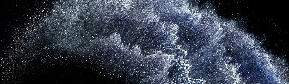 iPhone 11 Pro Max cases