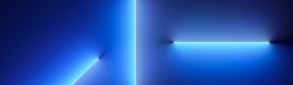 iPhone 13 Pro Max cases