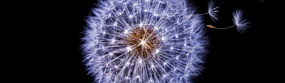 Galaxy S9 Plus gadgets