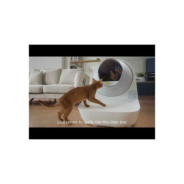 CATLINK SCOOPER PRO-X 中古 Amazon.co.jp: 【OFT】 自動 猫 トイレ CATLINK SCOOPER PRO-X LUXURY