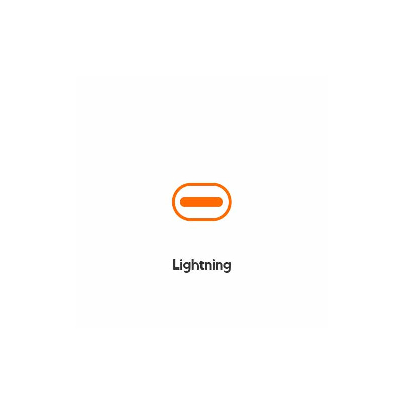 Apple Lightning to USB-C - 2,00 m (MKQ42ZM/A)