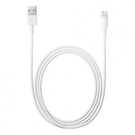 Apple Lightning to USB cable (0.50 m) ME291ZM/A