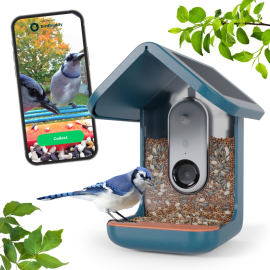 Bird Buddy smart bird feeder with solar roof blue