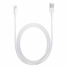 Apple Lightning-naar-USB-kabel MD818ZM/A