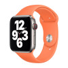 Apple Sport Band Apple Watch 38mm / 40mm / 41mm Kumquat