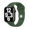 Apple Sport Band Apple Watch 38mm / 40mm / 41mm Clover sticky