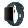Apple Sport Band Apple Watch 38mm / 40mm / 41mm Dark Teal sticky