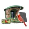 Birdfy Feeder Pro 2 Lite Smart Bird Feeder Solar Powered with Camera and AI Bird Recognition sticky