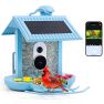 HiBirds Smart Bird Feeder with Camera - Bird Watching Camera with Solar Panels blue sticky