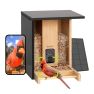 Birdfy Bamboo Smart Bird Feeder Solar Powered with Camera and AI Bird Recognition sticky