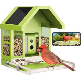 Birdfy Feeder Metal Lite Smart Bird Feeder Solar Powered with Camera and AI Bird Recognition