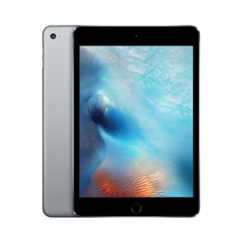 Category iPad Mini 4 accessories image